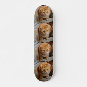 Haustier-Katze-Foto Benutzerdefinierte gepolte Vor Skateboard