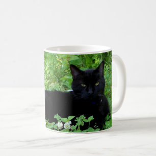Haustier-Katze-Foto-Kaffeetasse Kaffeetasse