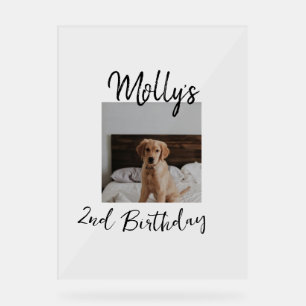 Haustier Katze Geburtstag Foto modern Acrylschild