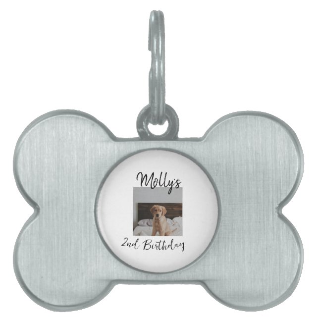 Haustier Katze Geburtstag Foto modern Tiermarke (Vorderseite)