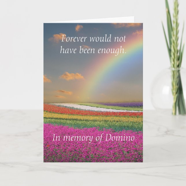 Haustier Katze Rainbow Bridge Beileid Karte (Vorderseite)