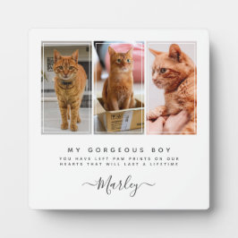 Haustier-Loss-Geschenk für Hunde und Katze, Gedenk Fotoplatte