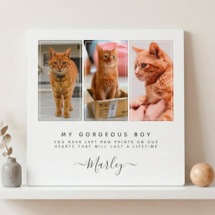 Haustier-Loss-Geschenk für Hunde und Katze, Gedenk Fotoplatte