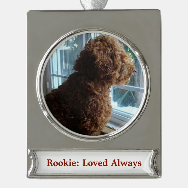 Haustier/Person (personalisieren) Banner-Ornament Silber (Vorderseite)