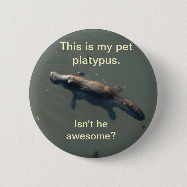 Haustier Platypus Knopf Button (Vorderseite)