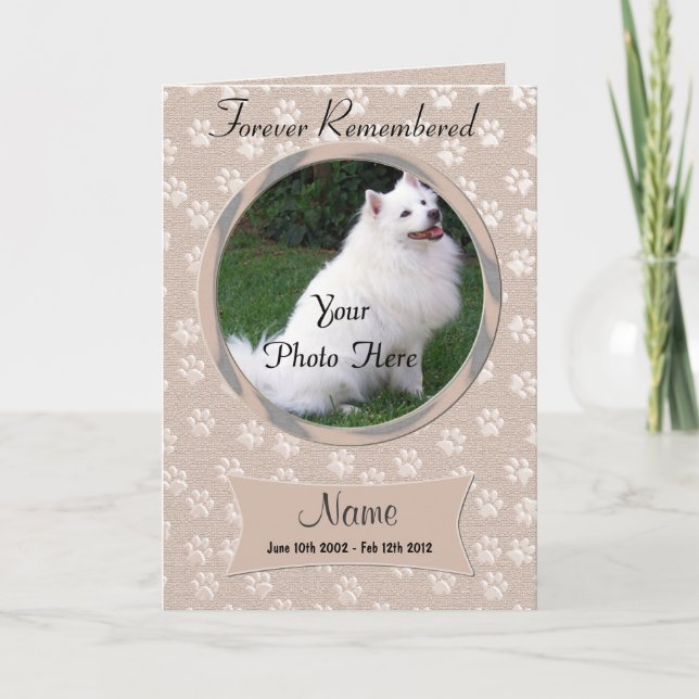 Haustier-Verlust-Hunde-oder Ankündigung (Vorderseite)