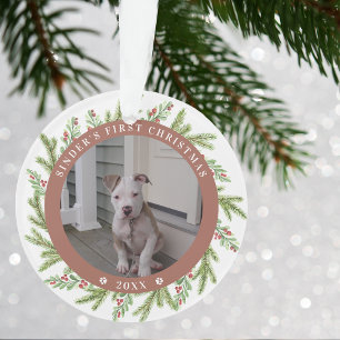 Haustier Welpe Hund erstes Weihnachten 2 Fotos Grü Ornament