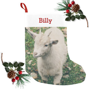 Haustier-Ziegen-Liebhaber-Foto u. Name Kleiner Weihnachtsstrumpf