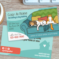 Haustiere auf der Couch sitzen Tierpflege Hund und
