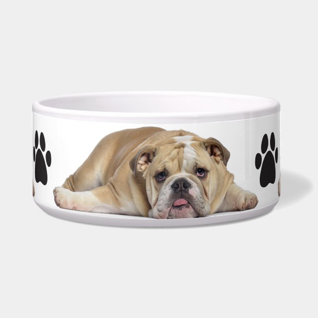 Haustiere Bowl/Bull Hund Napf (Vorderseite)