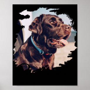 Haustiere Einfach Moderne Coole Tygraphie Name Und Poster