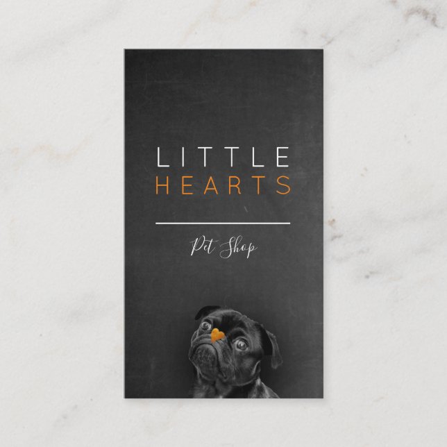 Haustiere / Haustierpflege / Sitzungsdienste Visitenkarte (Vorderseite)