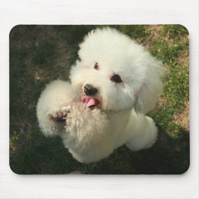 Haustiere, Hund, Poodle Mousepad (Vorne)