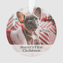 Haustiere Hunde Erstes Weihnachtsfest Foto Ornamen