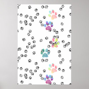 Haustiere Pawprints Poster