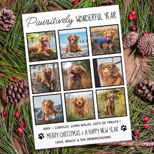 Haustiere pawsitiv wunderbar Haustier Hund Foto Co Feiertagskarte
