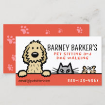 Haustiere Sitzende Guinea Katze Schweinefleisch Sü