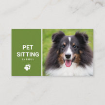 Haustiere Sitzende Hunde Service Happy Sheltie Dog