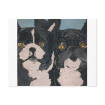 Haustiere von generischen Ginsburg