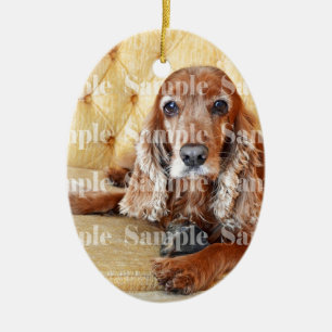 Haustiererinnerungsgedächtnis/PERSONIFIZIEREN Foto Keramik Ornament