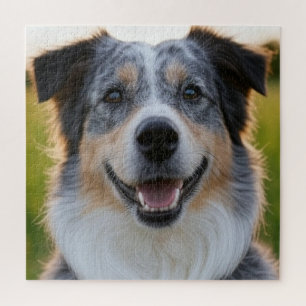 Haustierfoto anpassen puzzle
