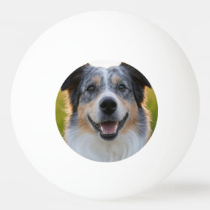 Haustierfoto anpassen tischtennisball