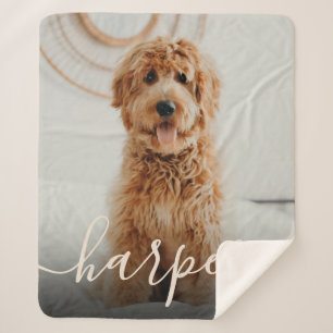 Haustierfoto & handgeschriebener Schriftname Sherpadecke