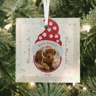 Haustiergedenken für immer in unseren Herzen Foto  Ornament Aus Glas