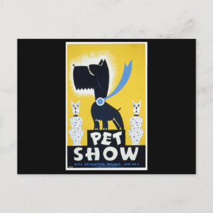 Haustiershow Postkarte
