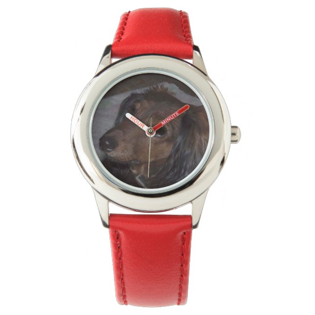 Haustierüberwachung Armbanduhr (Vorderseite)