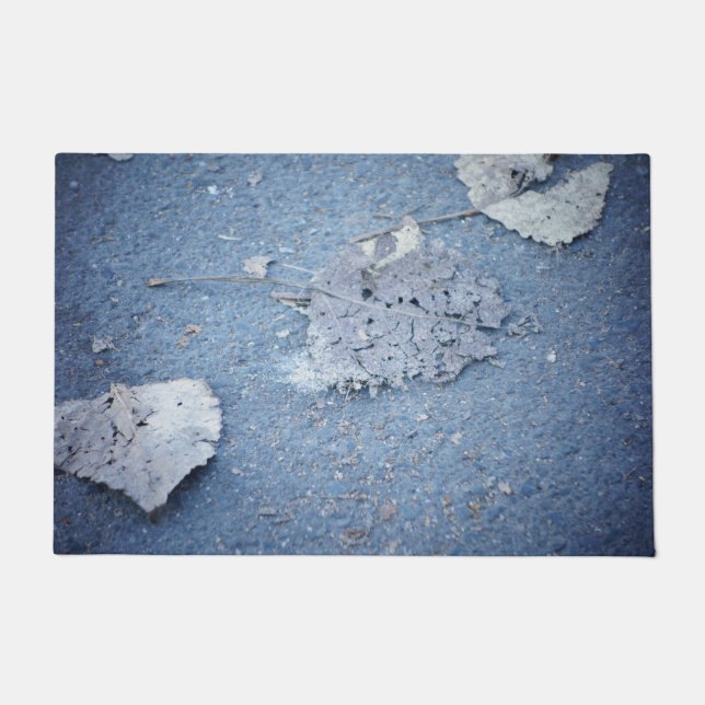 Haustüre von Premium-Qualität Fußmatte (Vorderseite)