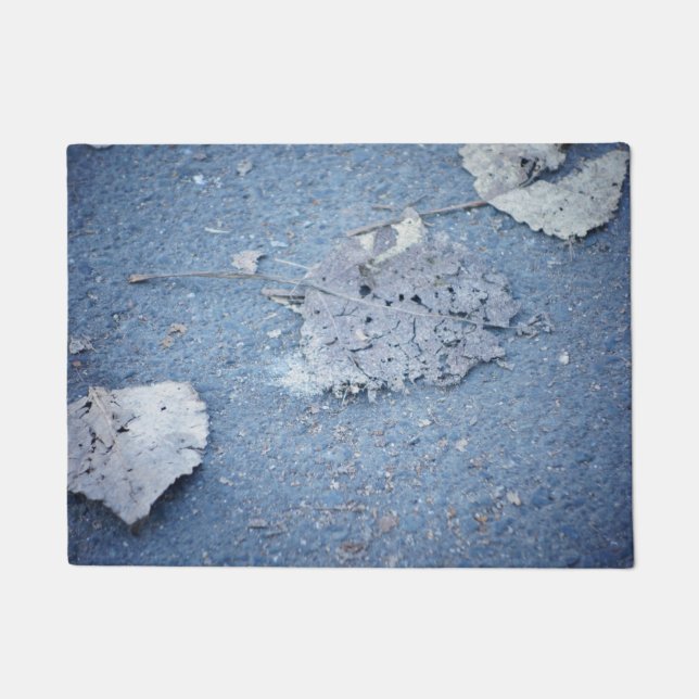 Haustüre von Premium-Qualität Fußmatte (Vorderseite)