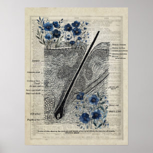 Haut Anatomie Blaue Florale Vintage Wörterbuch Kun Poster