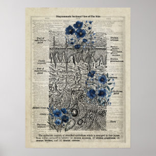 Haut Anatomie Blaue Florale Vintage Wörterbuch Kun Poster