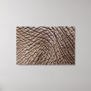 Haut von Afrikanischem Elefanten (Loxodonta africa Leinwanddruck