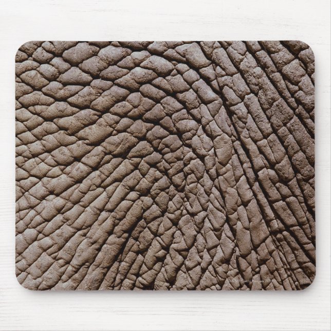 Haut von Afrikanischem Elefanten (Loxodonta africa Mousepad (Vorne)