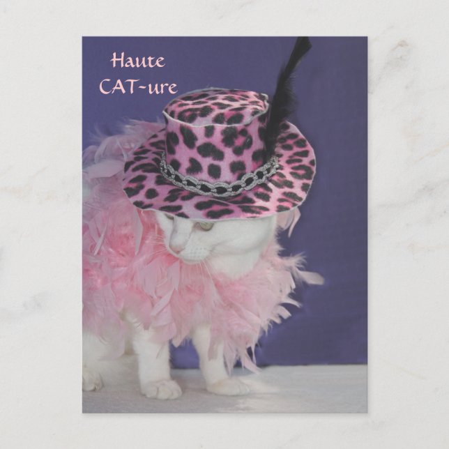 Haute CAT-ure Postkarte (Vorderseite)