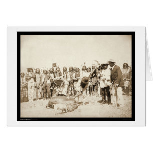 Häuten Rinder in Pine Ridge Reservation SD 1887