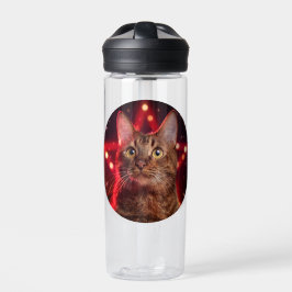Havana Brown Cat (Rasse mit sternigem Hintergrund) Trinkflasche