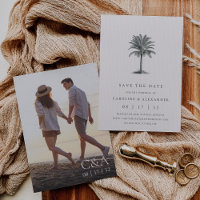 Havana Palm | Elegantes Vintages Palm Tree Foto
