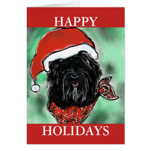 HAVANA SILK DOG (Vorne)