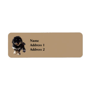Havanese