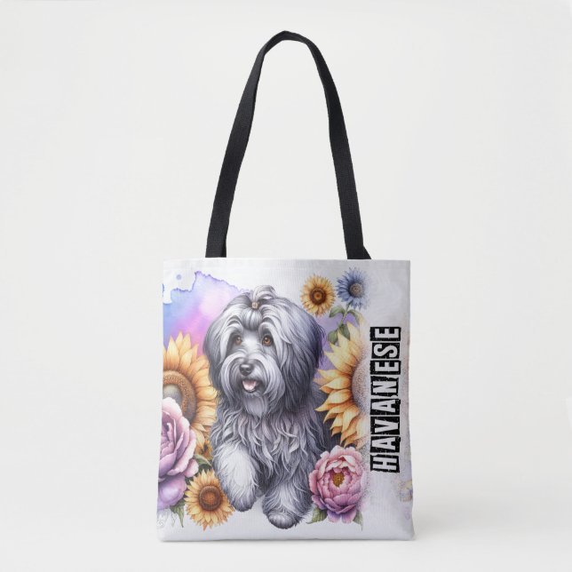 Havanese (Vorderseite)