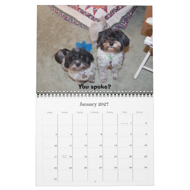 Havanese 2009 kalender (Jan 2027)