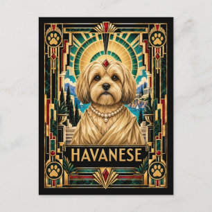 Havanese, Art Deco Hund Postkarte