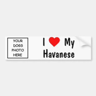 Havanese Autoaufkleber