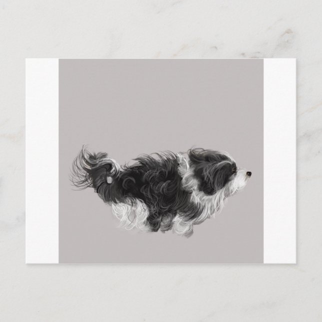 Havanese B&W Postkarte (Vorderseite)