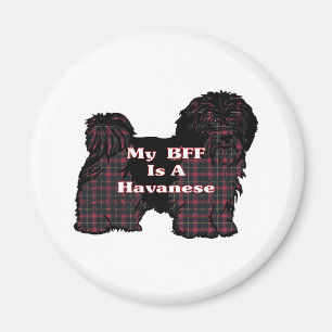 HAVANESE BESTE FREUNDIN Geschenke Magnet