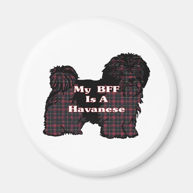 HAVANESE BESTE FREUNDIN Geschenke Magnet (Vorne)