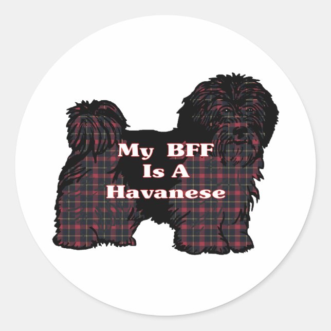 Havanese-BESTE FREUNDIN Runder Aufkleber (Vorderseite)